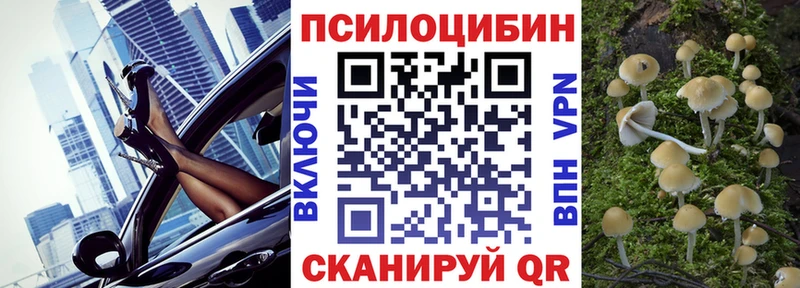 Псилоцибиновые грибы ЛСД  закладка  omg маркетплейс  Славгород 