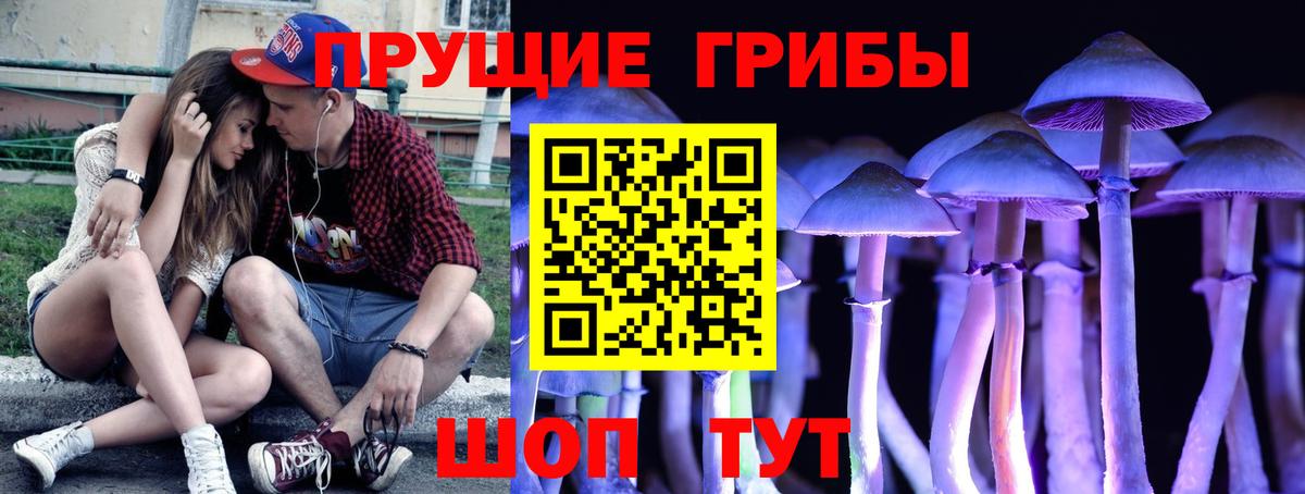 Славгород  Псилоцибиновые грибы прущие грибы  Псилоцибиновые грибы Psilocybine cubensis  где можно купить   Вход с VPN 