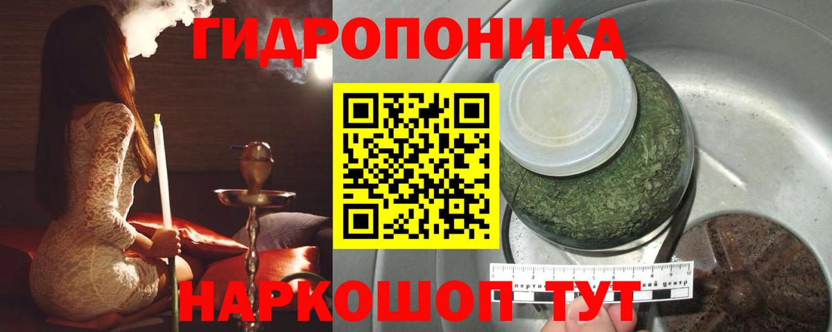 Бошки марихуана Ganja Славгород